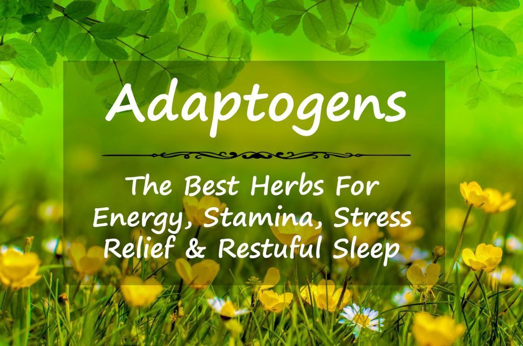 adaptogens-herbs