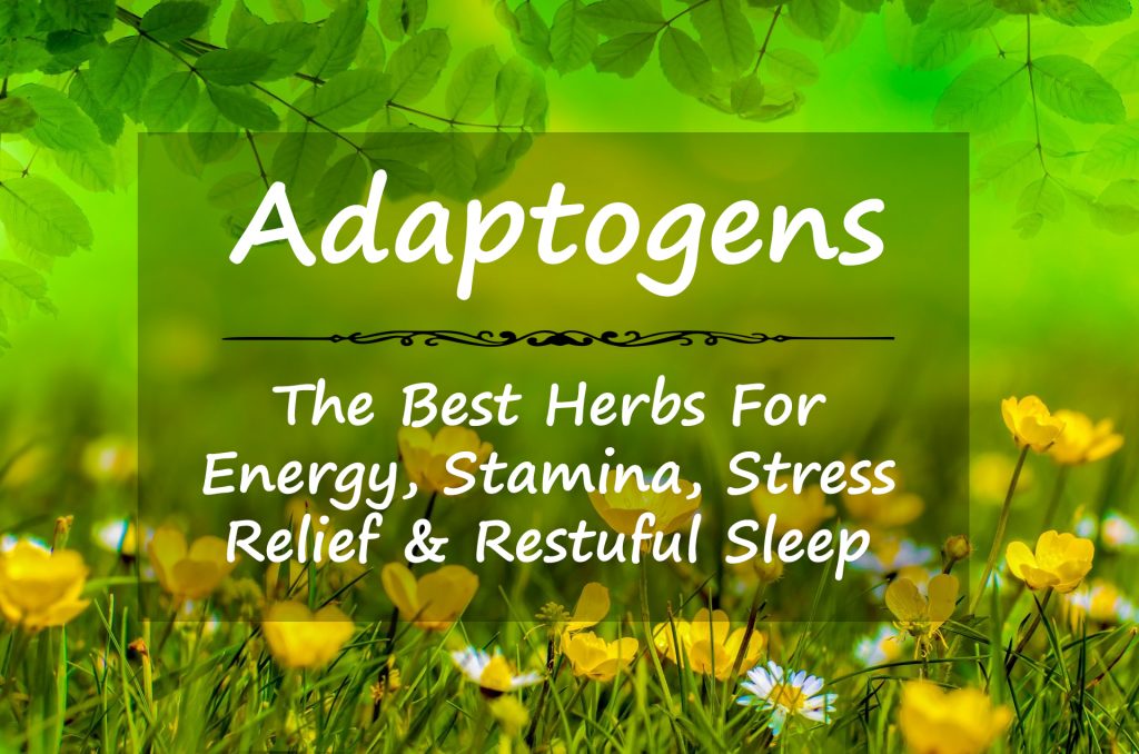 adaptogens-herbs