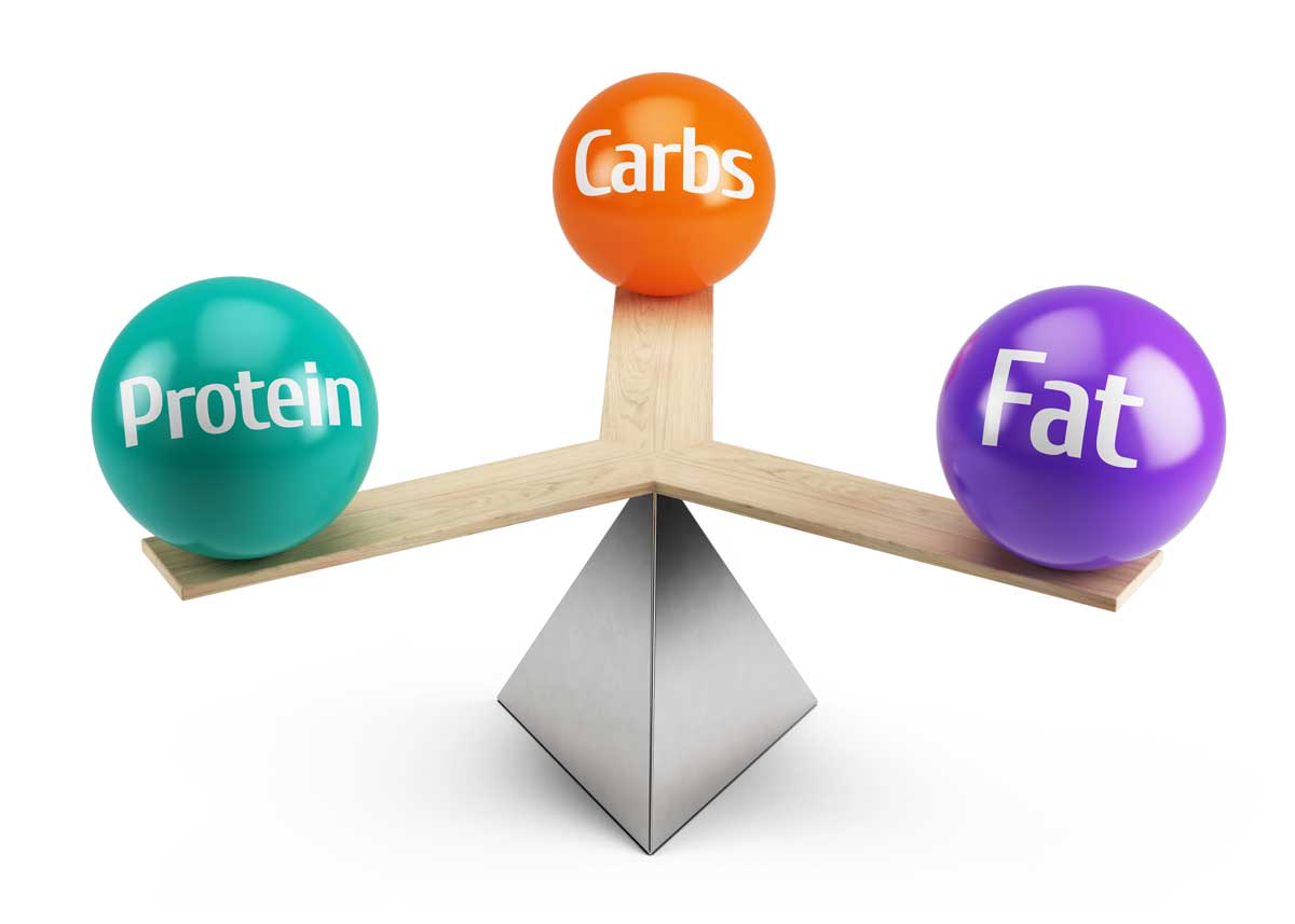 Discover The Importance Of Macronutrients While Dieting