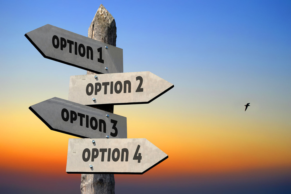 Explore Options Meaning