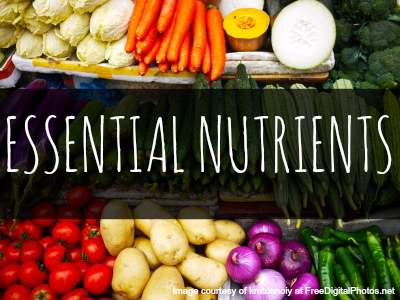 essential-nutrients