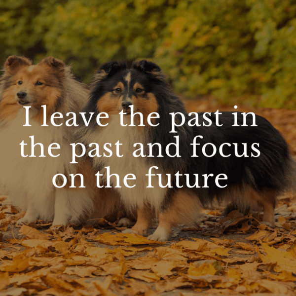 focus-on-the-future